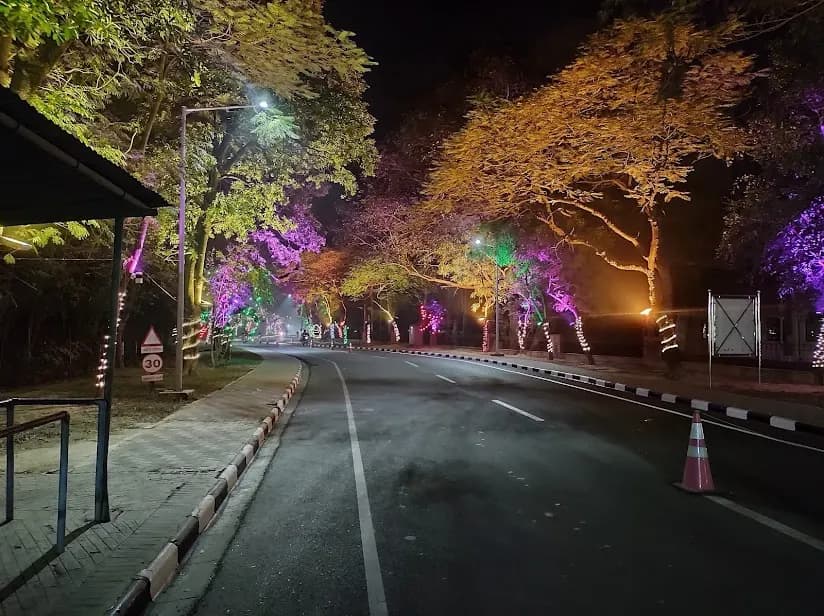 Tree-lined campus road at IIT Kanpur at night